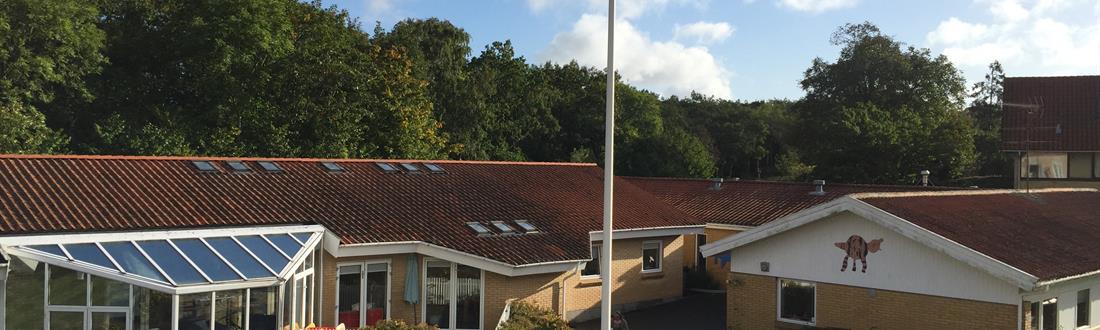 Billede af Mælkebøtten