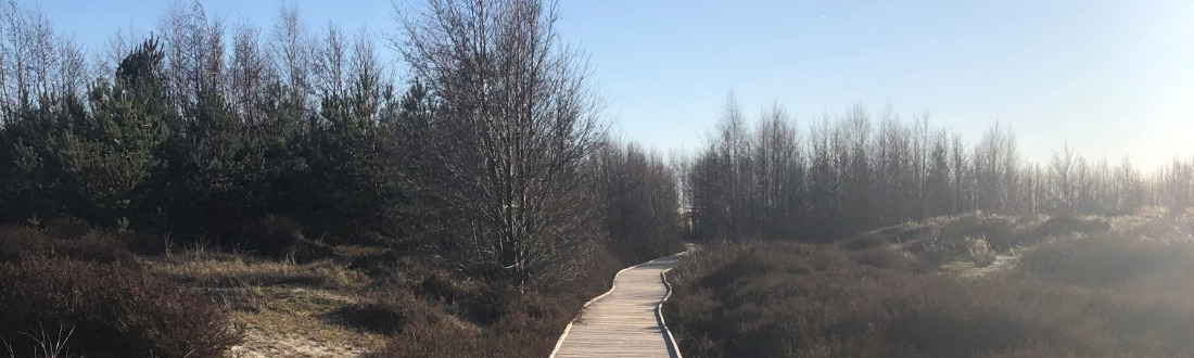 Billede af kørestolsbruger i bevægelse